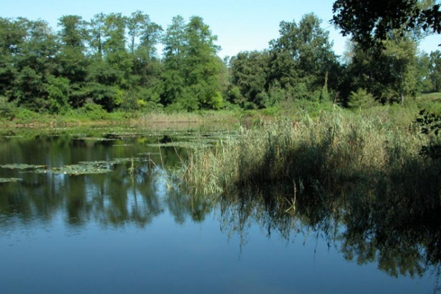 Parco dei Lagoni